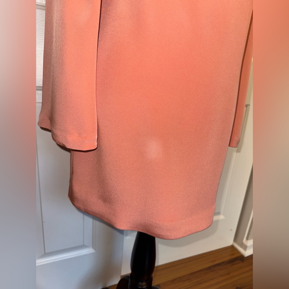 Elizabeth and James Silk Shift Dress Size 2 Coral Minimalist Chic Quiet Luxury - Picture 6 of 11